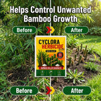 ✨HOT SELL 60% Off TODAY✨LIMITED OFFER🔥| CYCLORA HERBICIDE GRANULES |🔥BUY 1 GET 2 FREE🔥