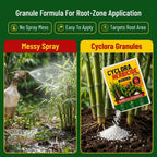 ✨HOT SELL 60% Off TODAY✨LIMITED OFFER🔥| CYCLORA HERBICIDE GRANULES |🔥BUY 1 GET 2 FREE🔥